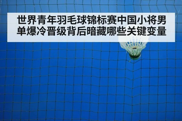 badminton net shot