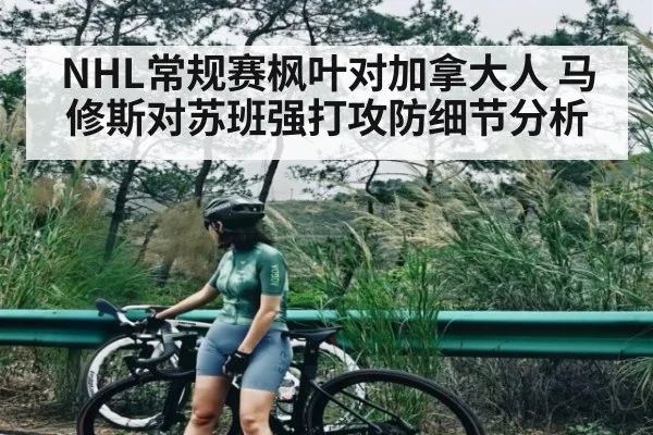 NHL常规赛枫叶对加拿大人 马修斯对苏班强打攻防细节分析 | kaiyun