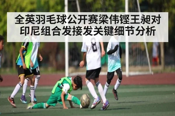 全英羽毛球公开赛梁伟铿王昶对印尼组合发接发关键细节分析 | kaiyun